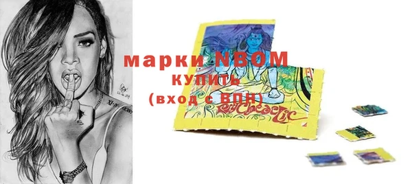 индика Михайлов