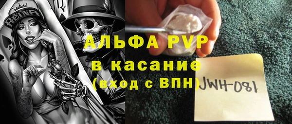 индика Михайлов