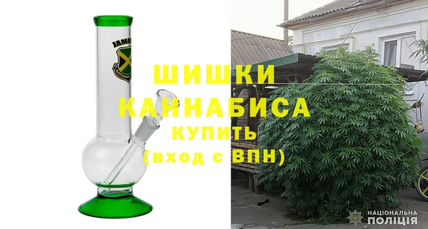 индика Михайлов