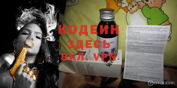 индика Михайлов