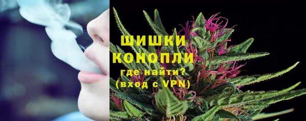 индика Михайлов