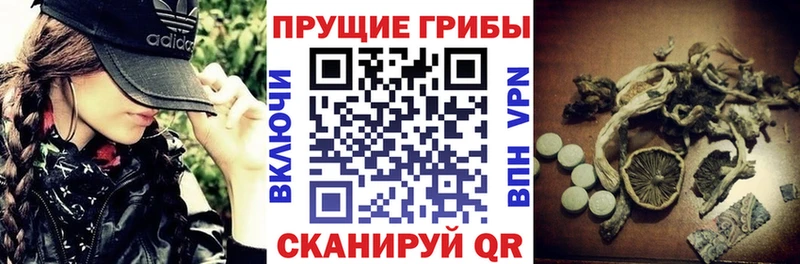 Галлюциногенные грибы GOLDEN TEACHER  гидра как войти  Фрязино 